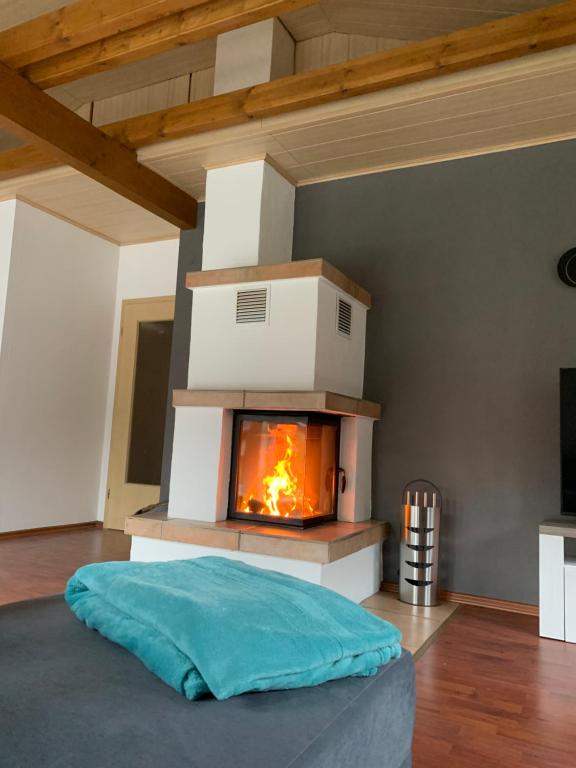 ein Wohnzimmer mit einem Kamin und einem Sofa in der Unterkunft Ferienwohnung am Rothenberg in Altenau