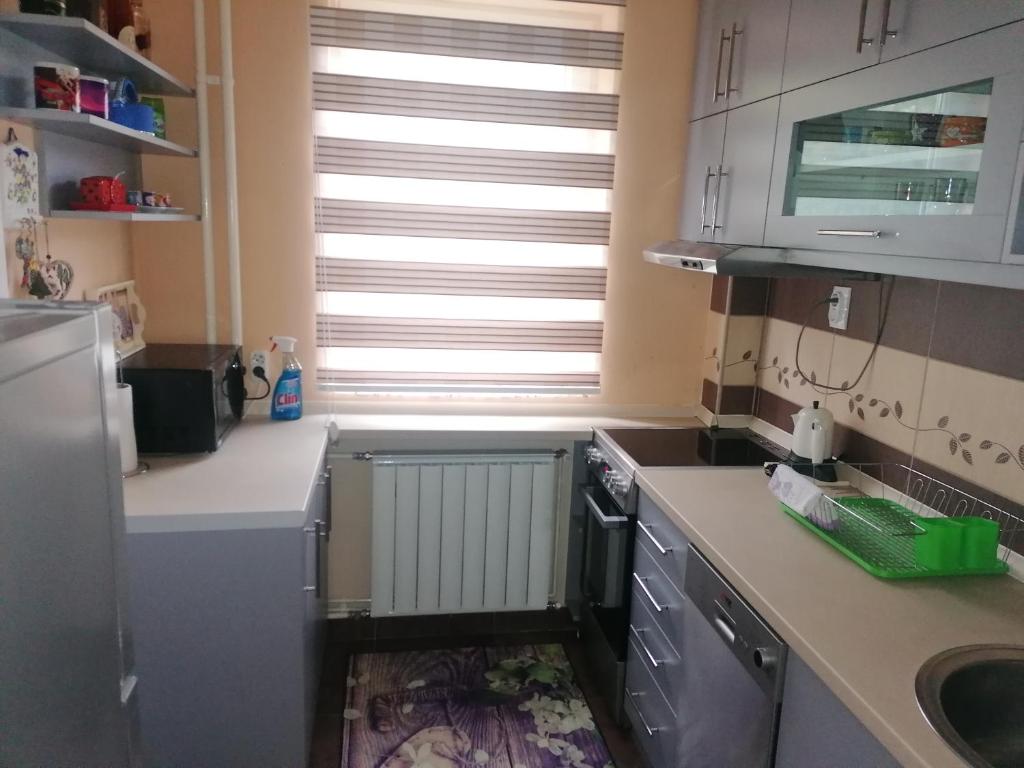 Kuchyň nebo kuchyňský kout v ubytování Apartman Aleksandar