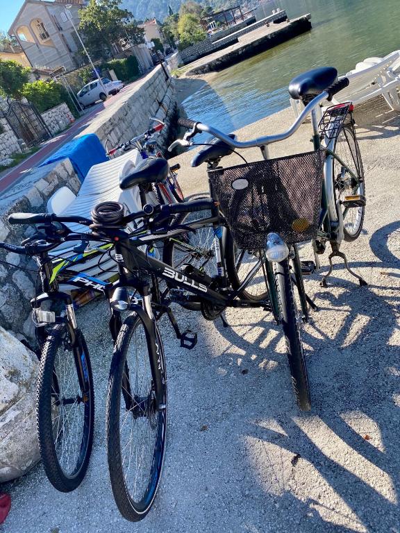 Apartmani Maxim Kotor Harga Terkini 2021