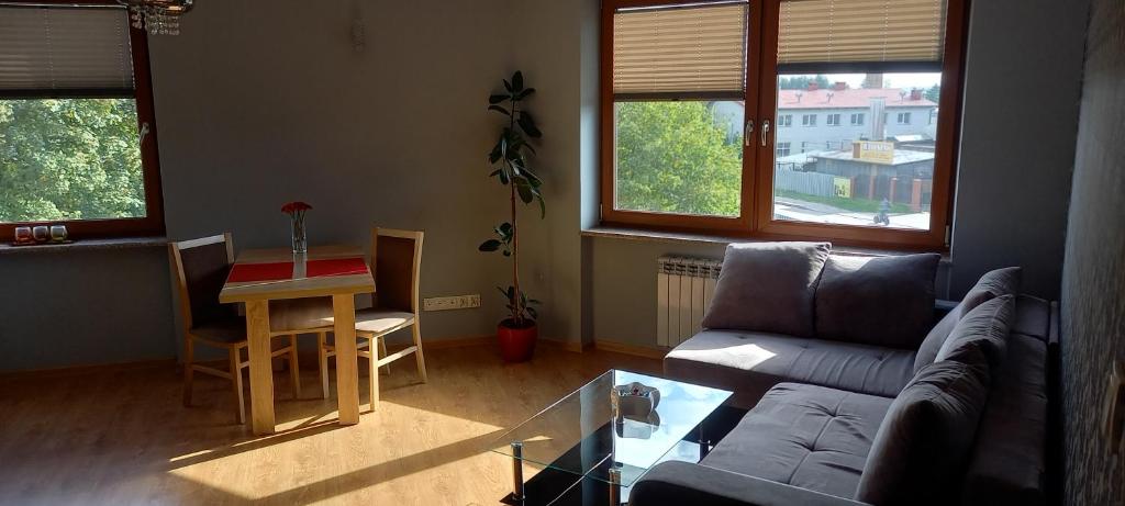 Konarskiego Apartments - One-Bedroom Apartment (#16)