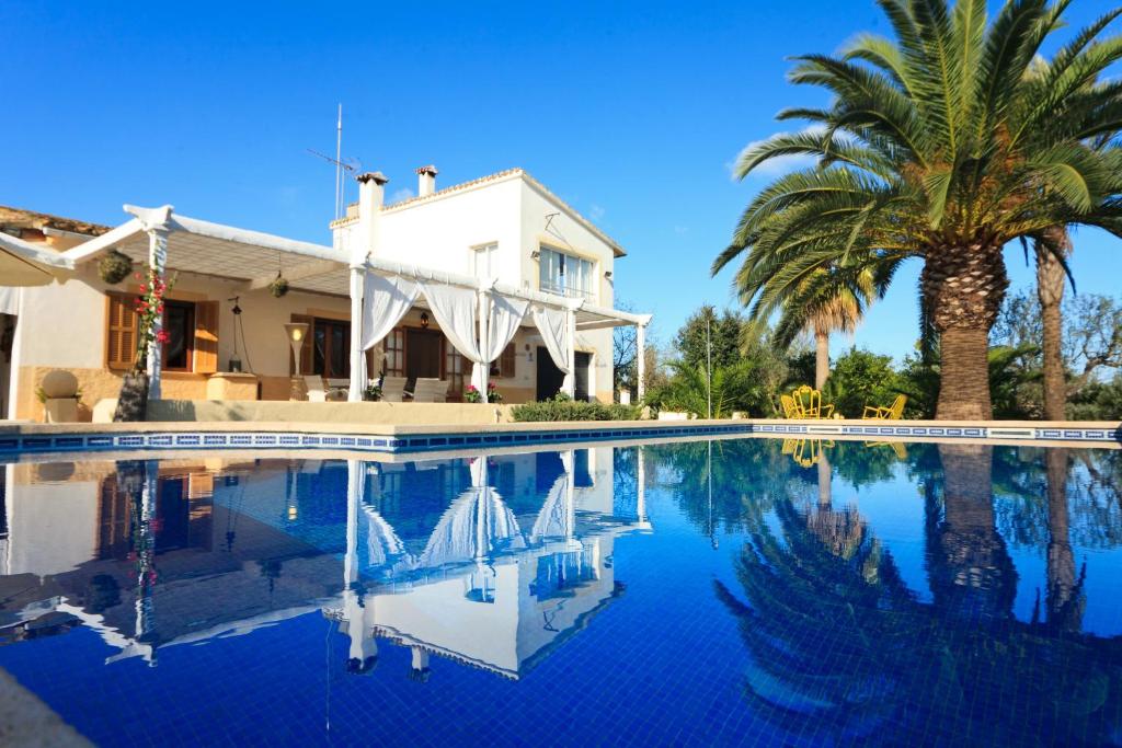 a swimming pool with a palm tree and a house at Cana Joana in Santa Margalida