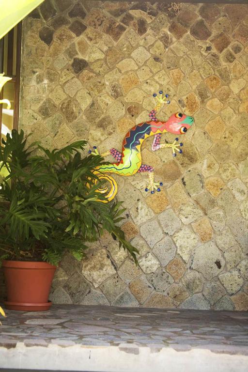 Fotografie z fotogalerie ubytování Spring Hotel Bequia v destinaci Port Elizabeth
