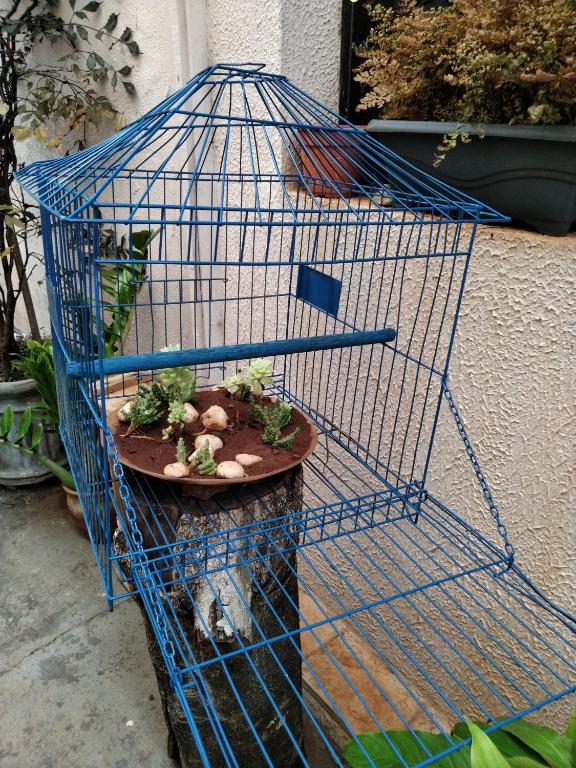  Café com Arte Pousada Ecológica