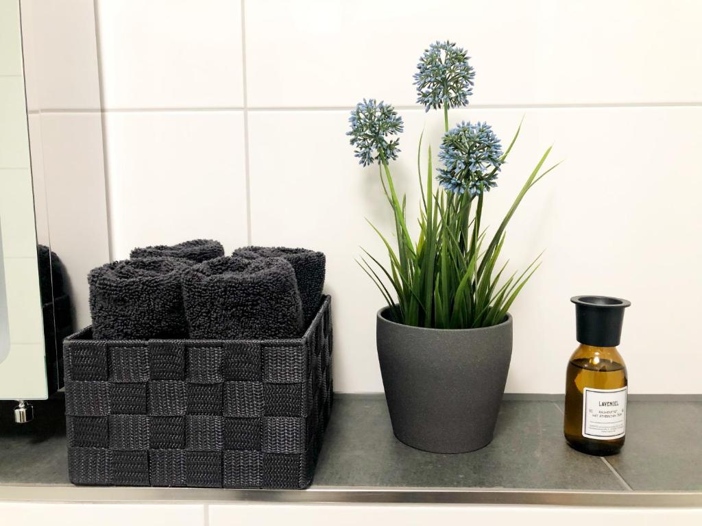 Lisas Gästehaus - Habitación Doble Deluxe