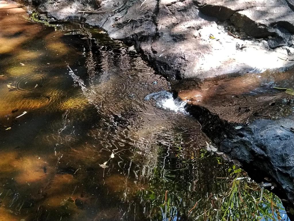  Café com Arte Pousada Ecológica