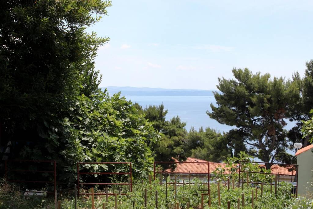 Príroda v okolí apartmánu