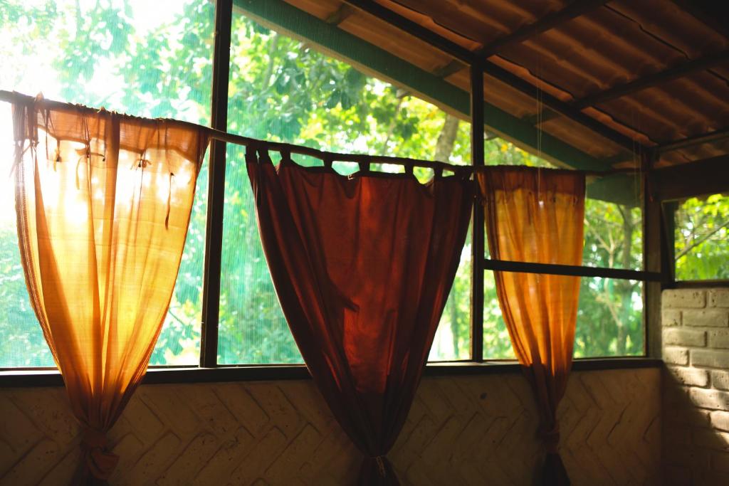  Mariri Jungle Lodge