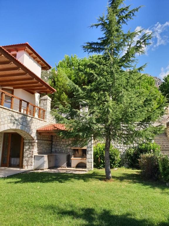 Lafky Arachova Residence في أراخوفا: شجرة في ساحة بجوار منزل