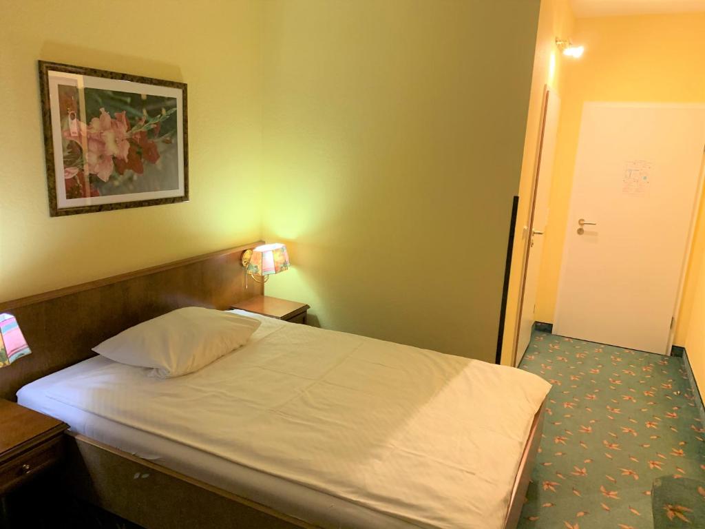 Brandiser Parkhotel - Single Room