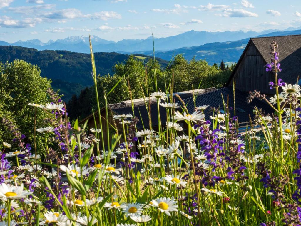 Galeriebild der Unterkunft Ferienwohnungen Lichtenegger in Kamp