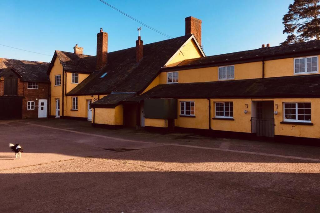 un perro está parado frente a un edificio en Elbury Farm Annex, en Exeter