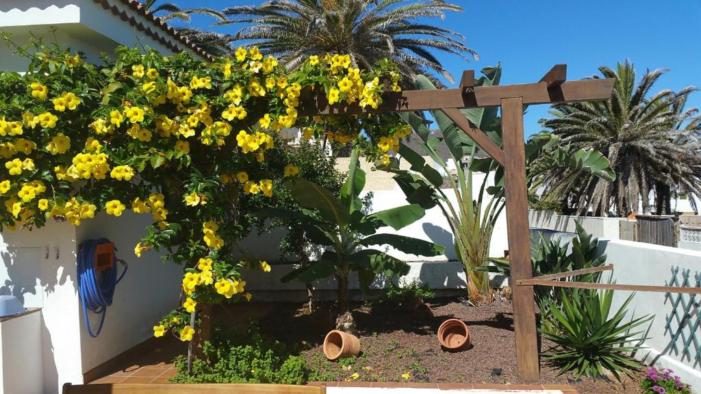 A garden outside Casa Atlantico - nur einen Steinwurf vom Atlantik entfernt Ab Mai 2022 komplett neu renoviert