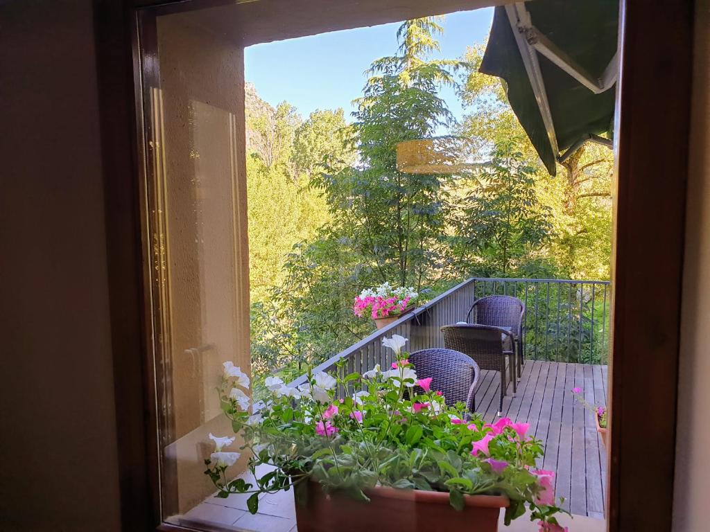Zahrada ubytování Hotel Cotori