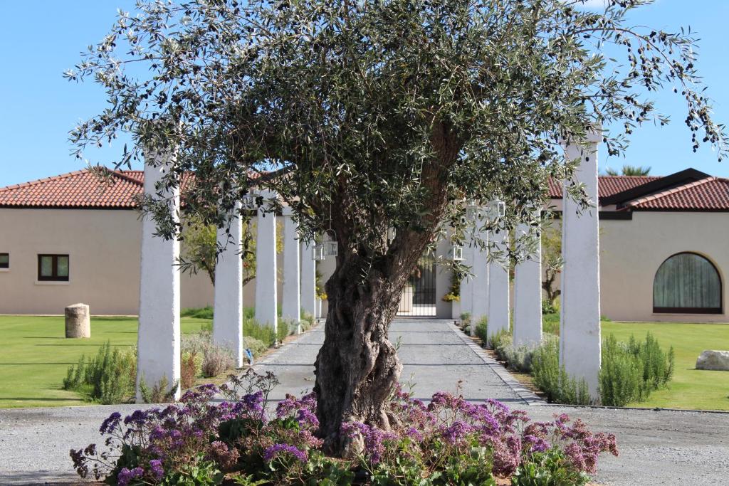O grădină în afara Villa Corte Maddalena