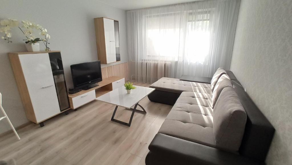 a living room with a couch and a tv at Monica Apartments in Panevėžys