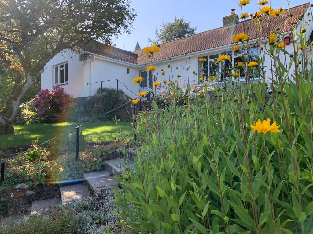 a garden with yellow flowers in front of a house at Wingmore in Salisbury