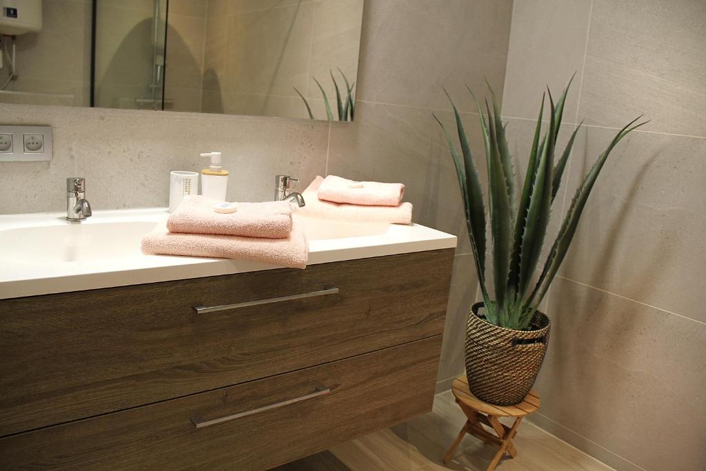 ein Badezimmer mit einem Waschbecken und einer Topfpflanze in der Unterkunft Appart Aldyis in Sprimont