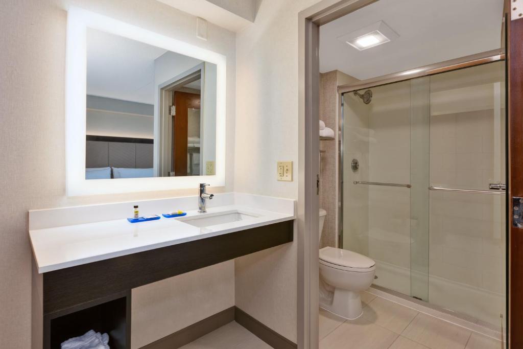 Holiday Inn Express Blacksburg by IHG - Suite King Con Ducha A Ras De Suelo