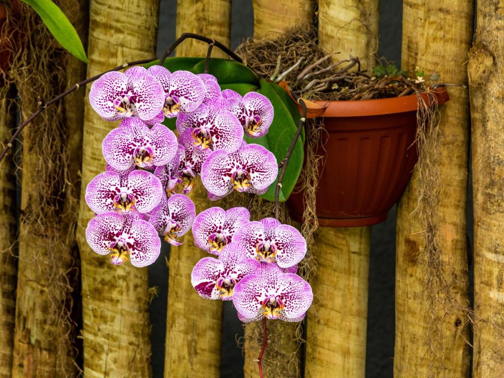  Pousada Oasis Teresopolis