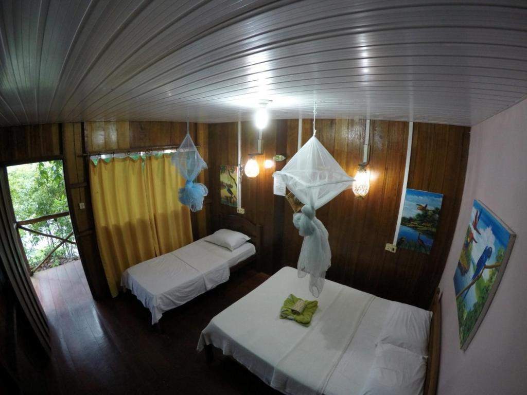  Amazon Turtle Lodge
