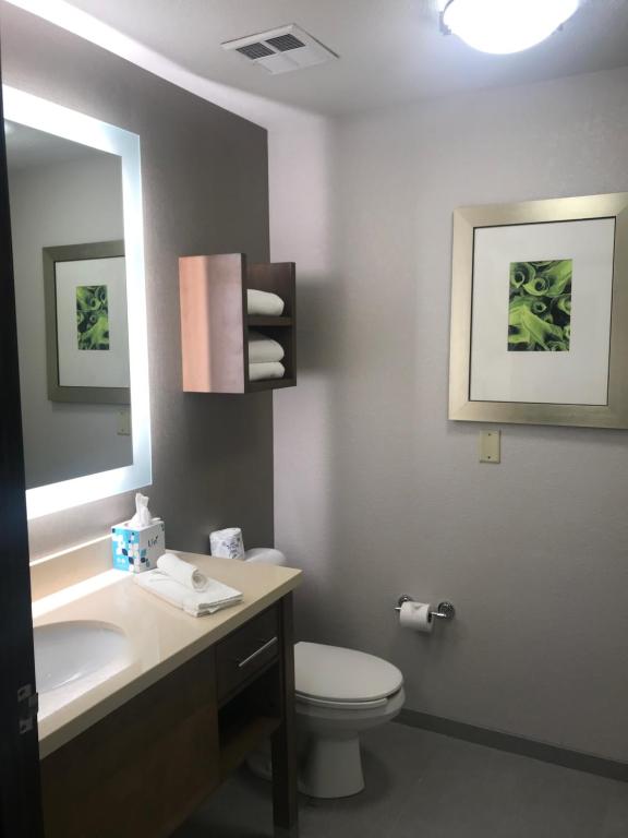 Staybridge Suites Columbia-Highway 63 & I-70 by IHG photo