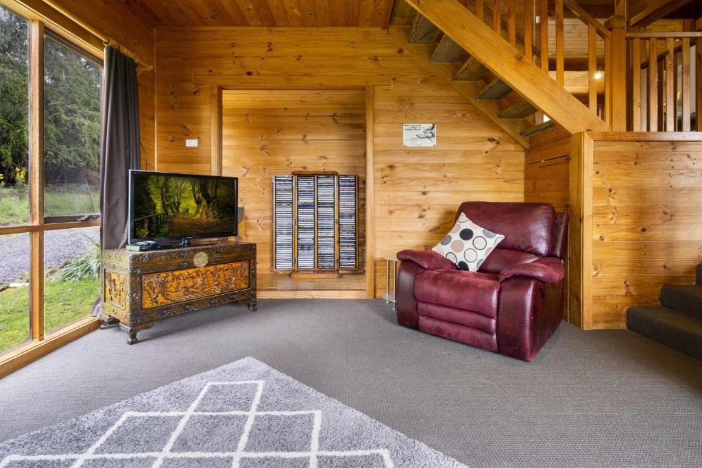 TV a/nebo společenská místnost v ubytování Mole Creek Cabins