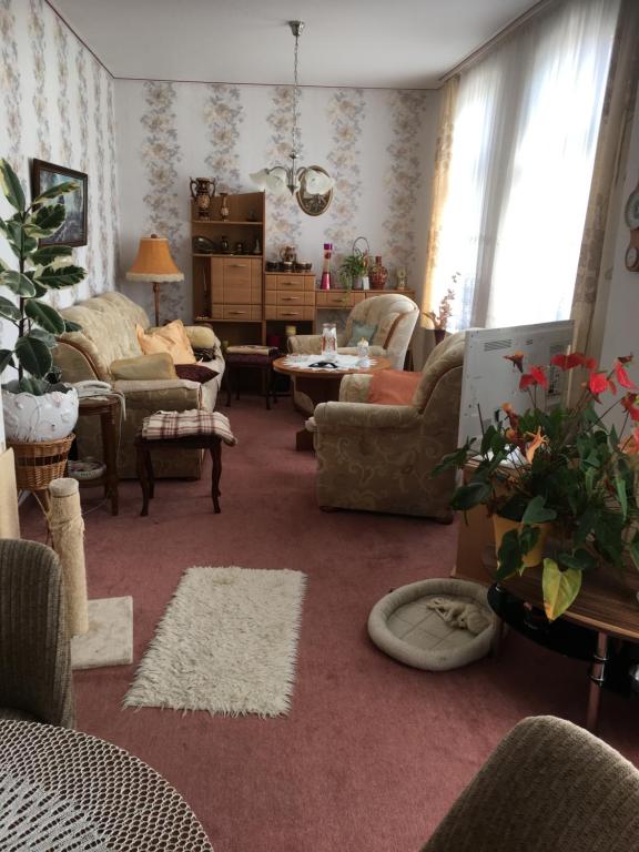 a living room with couches chairs and a table at Ferienwohnung bunte Stadt an der Elde in Grabow