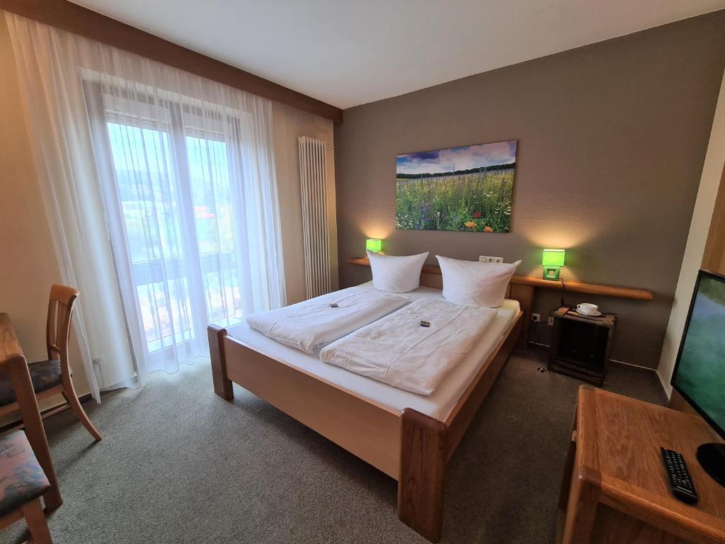 TV a/nebo společenská místnost v ubytování Hotel Goldenes Fass