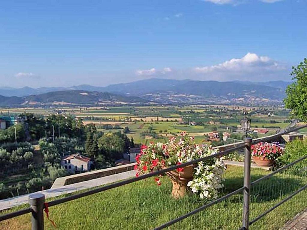 Príroda v okolí of the country house