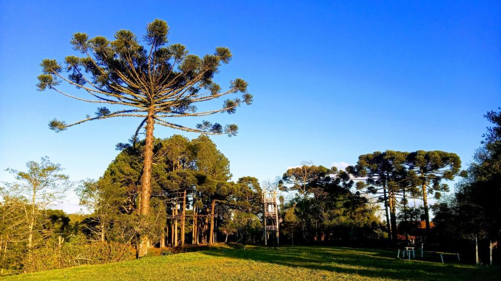 Casa da Paz Hostel & Suítes  Casa da Paz Hostel & Suítes