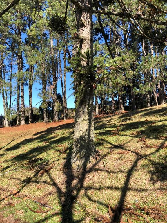 Casa da Paz Hostel & Suítes  Casa da Paz Hostel & Suítes