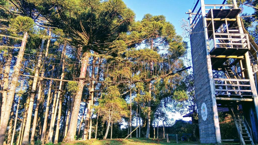 Casa da Paz Hostel & Suítes  Casa da Paz Hostel & Suítes