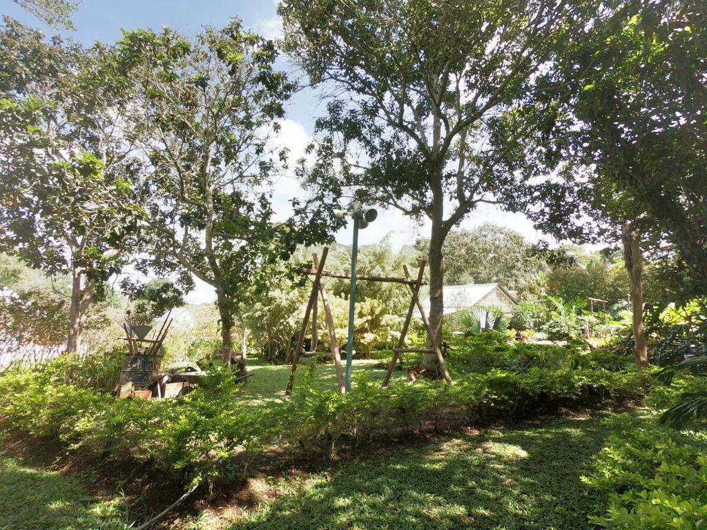 Jardí fora de Tribu EcoHostal