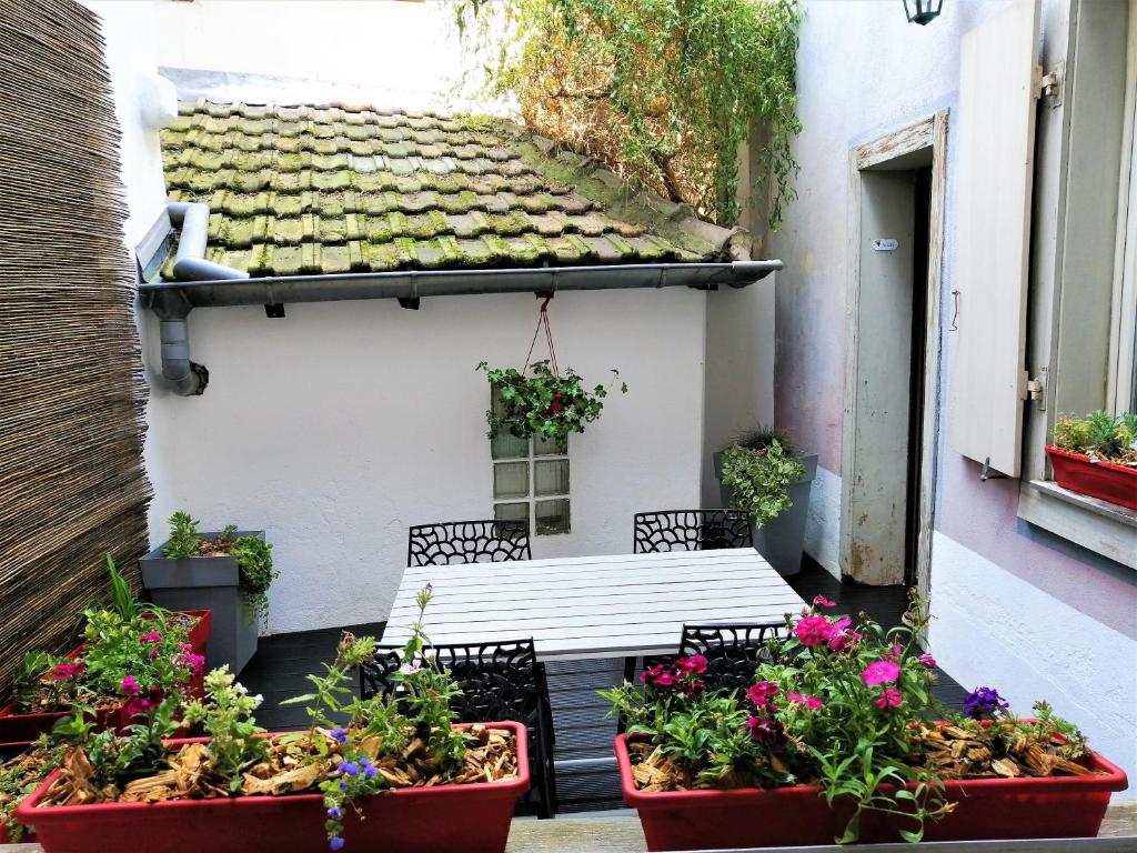 Côté Cour – photo 15