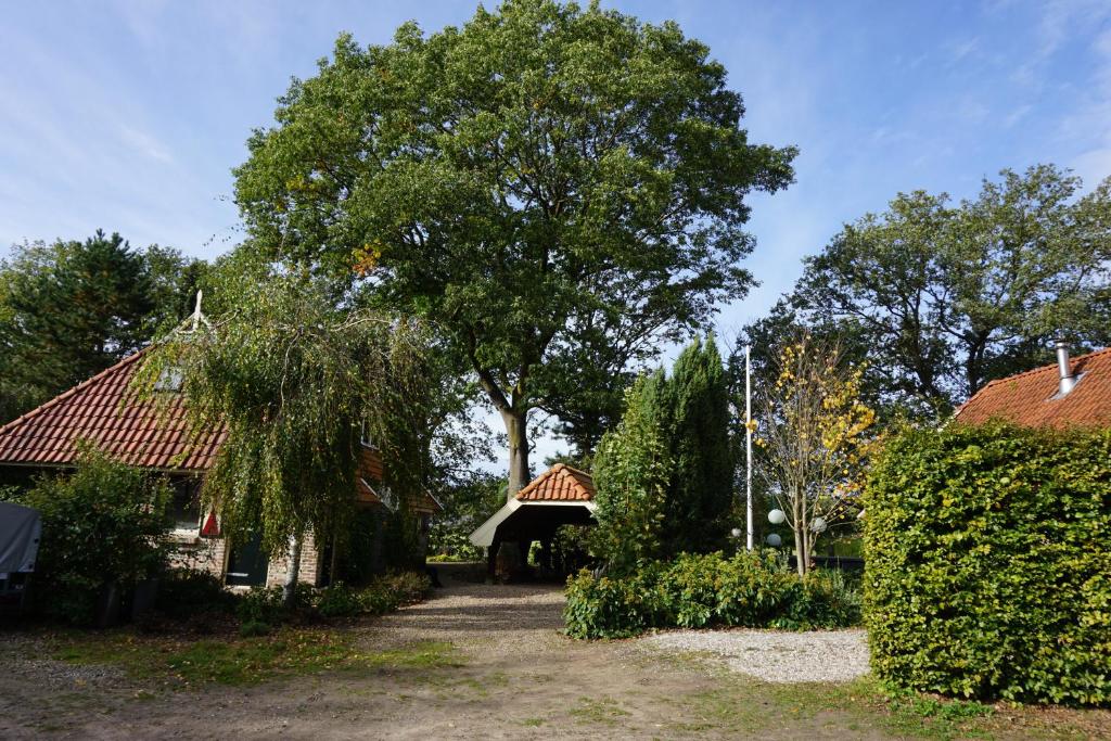 a house with a large tree in the yard at Saksisch Boerderijtje in Eibergen