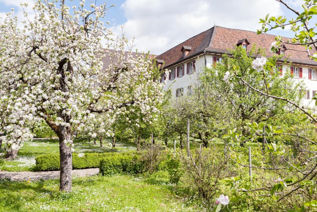 多納赫的住宿－Kloster Dornach / Basel，建筑物前的花树