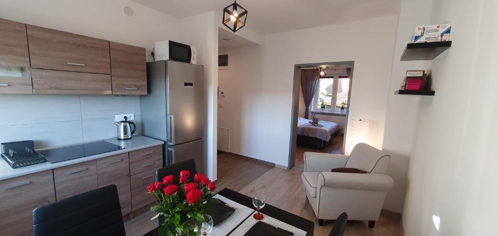 Kuchyňa alebo kuchynka v ubytovaní A&S Apartments - WIDOK