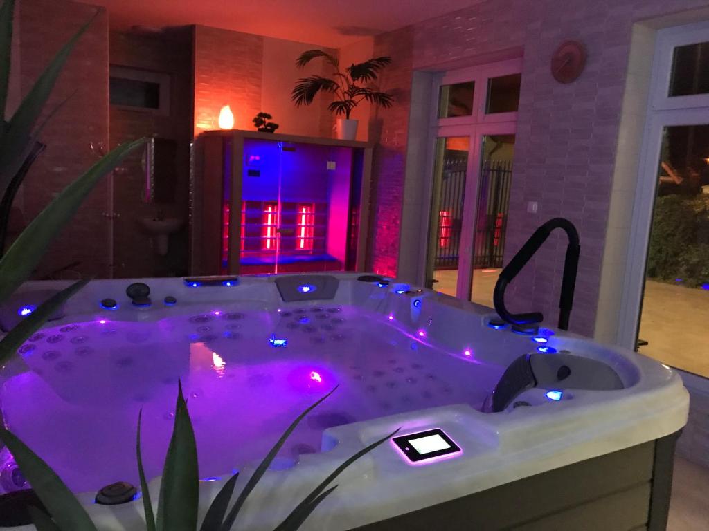 Fotografie z fotogalerie ubytování Tó- Party Panoráma Panzió & Wellness v destinaci Kiszombor