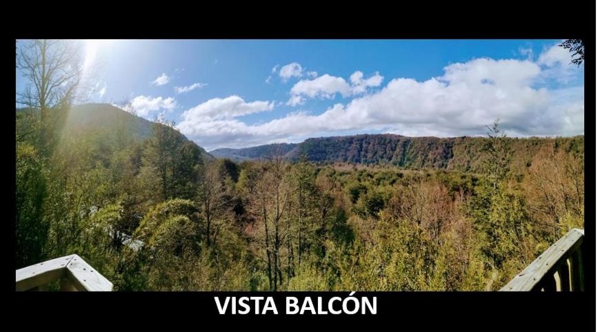 una vista de un bosque con una montaña en el fondo en Cabañas & Hostal Dos Rios, en Malalcahuello
