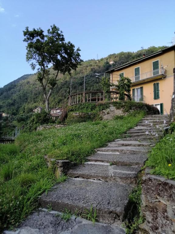 Příroda nedaleko apartmánu