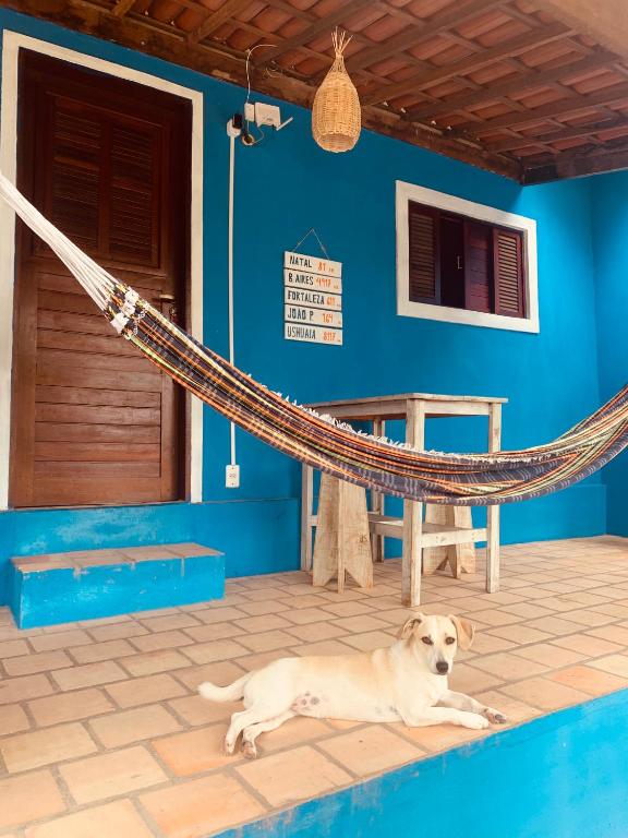 A CASA de GUS