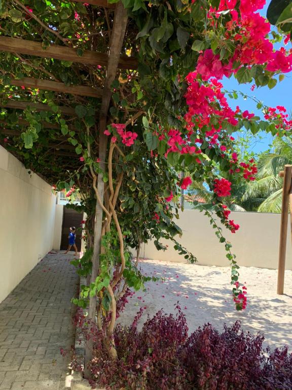  Manawa Beach Flat A18