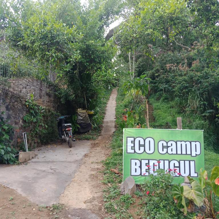 ECOcamping 2 bedugul