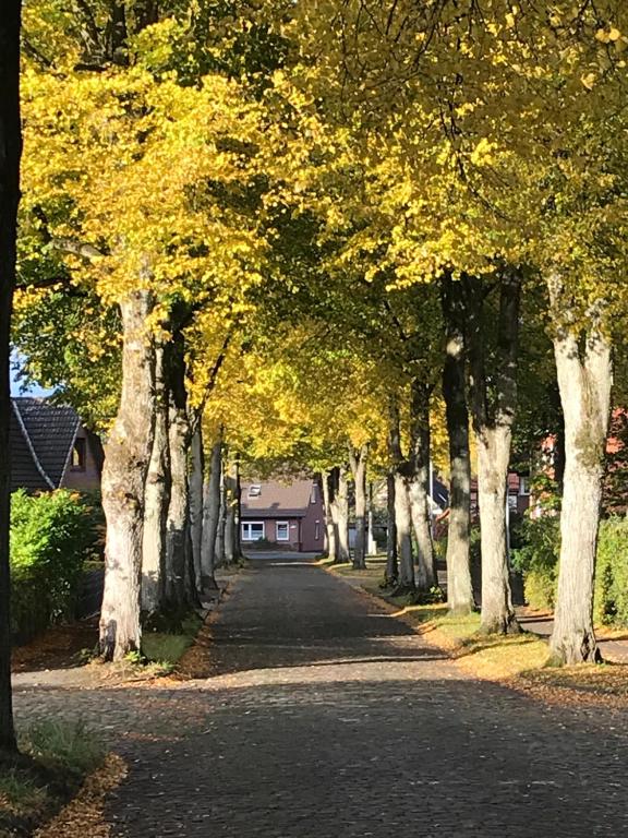 a tree lined road with yellow leaves on trees at Ferienwohnung Am Holzfeld in Schneverdingen