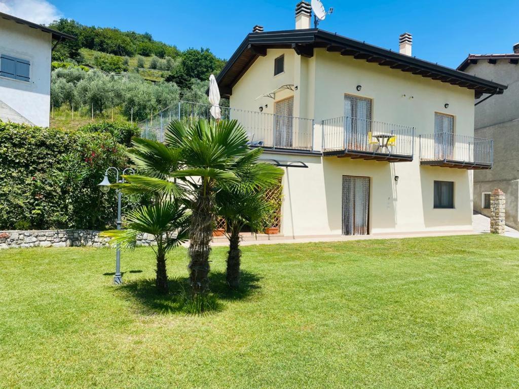 dom z palmą w ogrodzie w obiekcie La Quiete w Tremosine Sul Garda