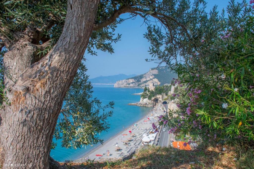 a view of a beach from a tree at Locanda Marita in Finale Ligure