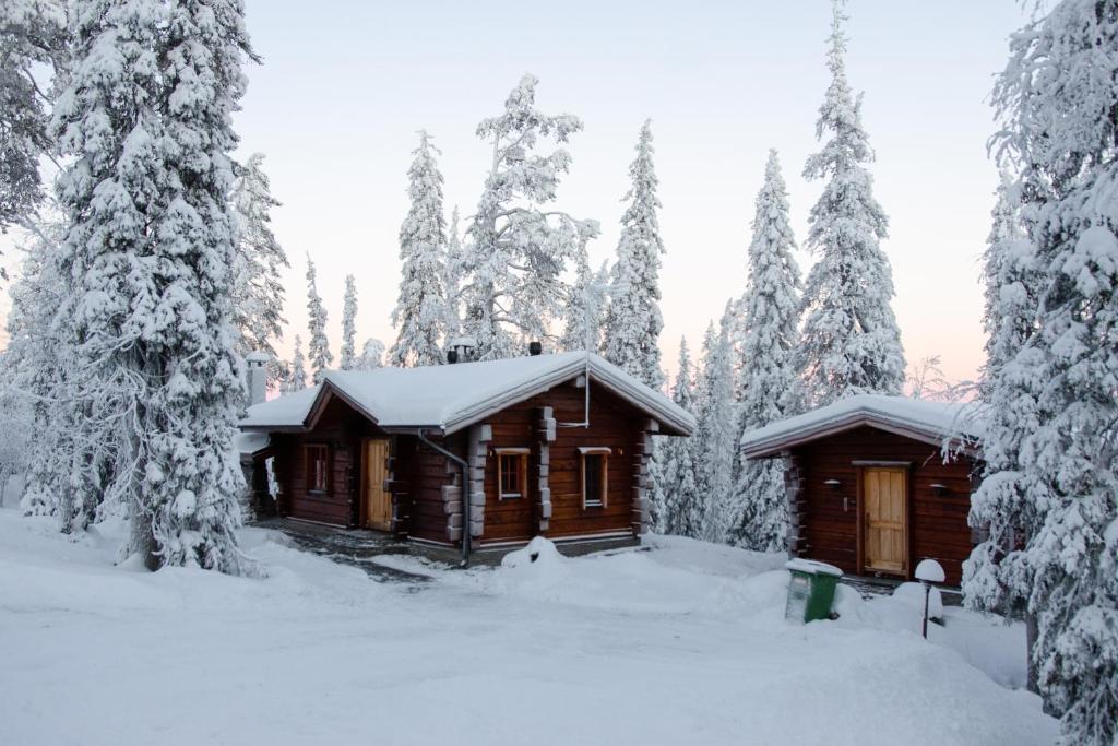 a log cabin in the woods with snow covered trees at Taigakolo, Luosto in Luosto