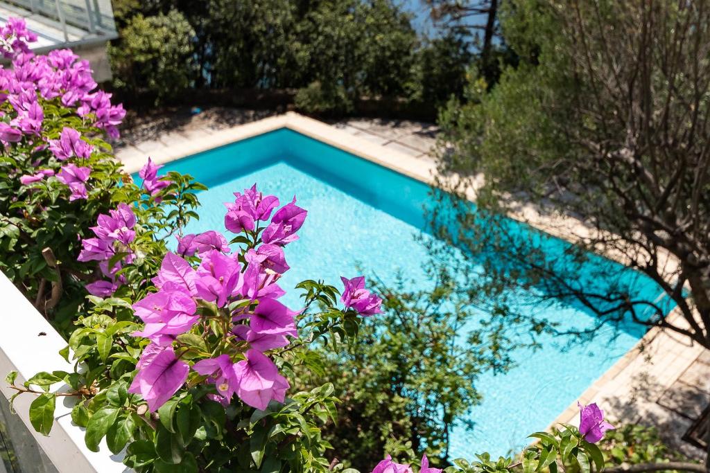 basen z fioletowymi kwiatami przed nim w obiekcie Villa Elisabetta luxury property in Moneglia w mieście Moneglia