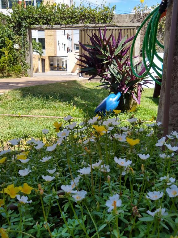  Hostel CONSCIENTE