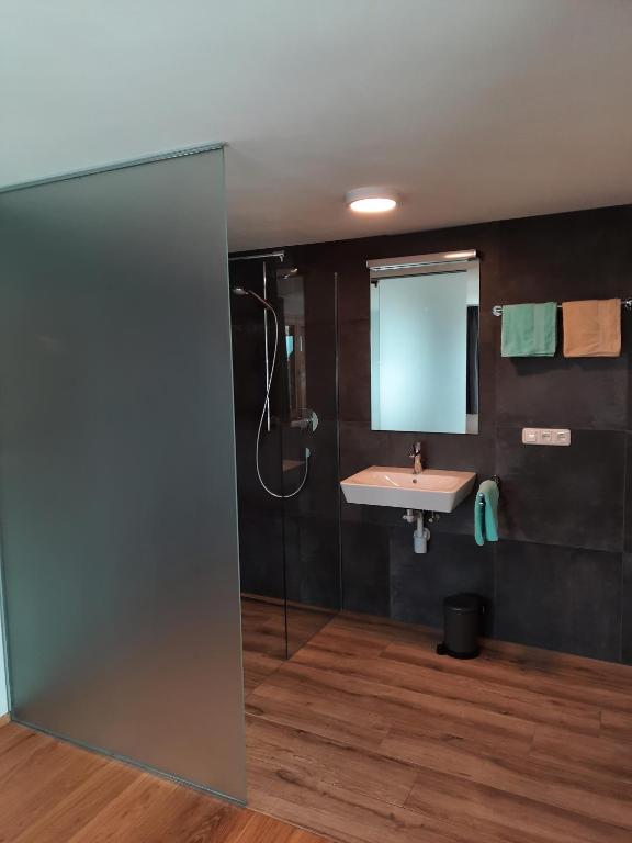 A bathroom at Alpha Apartment